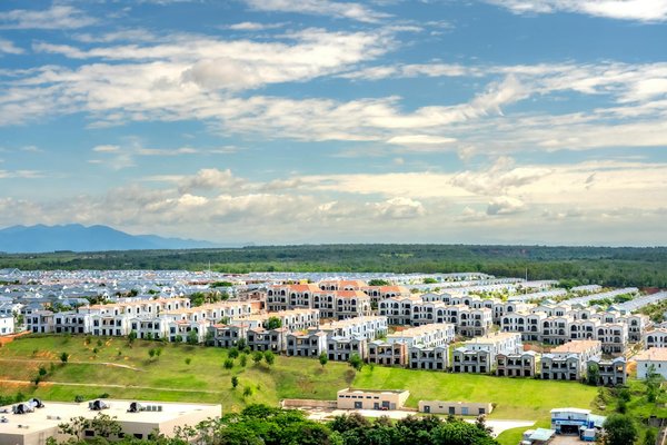 Cadeaux floraux pour la fête des pères : surprenez les papas avec style
