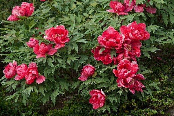 Tendances 2022 : Inspirations créatives pour des étagères décoratives incontournables