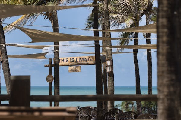 Optez pour l'authenticité du voile d'ombrage en fibre de coco